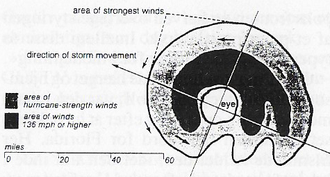Fig. 6. Et skematisk diagram som viser vindfordelingen omkring ØJET i en kraftig HURRICANE.